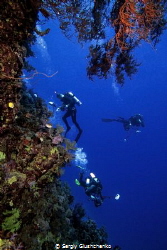 St. Johns Reef. by Sergiy Glushchenko 